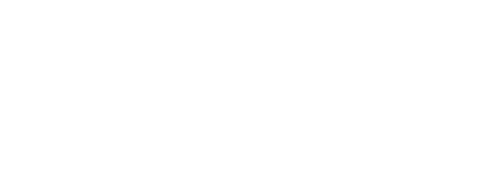 Volt Digital